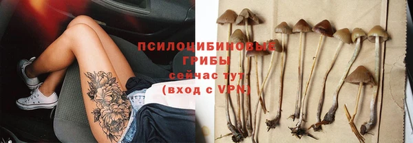 Альфа ПВП Белокуриха