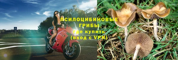 Альфа ПВП Белокуриха
