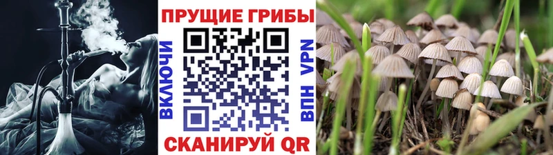 ссылка на мегу ссылки Нарьян-Мар Галлюциногенные грибы Magic Shrooms